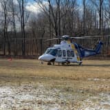 Man, 58, Airlifted After Getting Trapped Underneath Tree In Hunterdon County, State Police Say