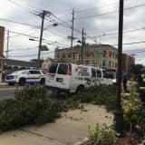 No Injuries Reported In Sudden Cliffside Park Tree Fall