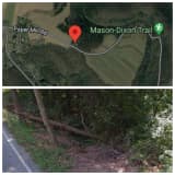 Woman Ejected During Crash Into Tree, Down Embankment In Lower Chanceford Twp.: Coroner