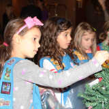 Hasbrouck Heights Girl Scouts Rock Around 501(c) Trees