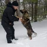 Police K9 Finds PA Man Lost In Michigan Woods In Below Freezing Temperatures