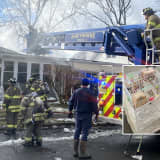 Chickens Killed, Dog, Pet Birds Rescued In NJ House Fire