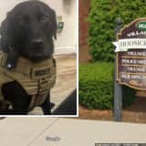 Mickey, Retired Police K9 In Region, To Be Euthanized Following Cancer Battle