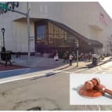 Man Sentenced For Violent Slashing Outside Galleria Mall In White Plains