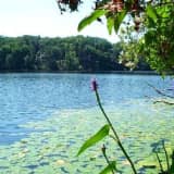 Teen Dies While Swimming At  Uncas Pond In Lyme