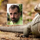 Jersey Shore Man Who Labeled Shipment Of Iguanas As Toys Sentenced To Home Confinement