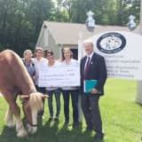 Stamford's First County Bank Foundation Awards $21K To Six Area  Nonprofits