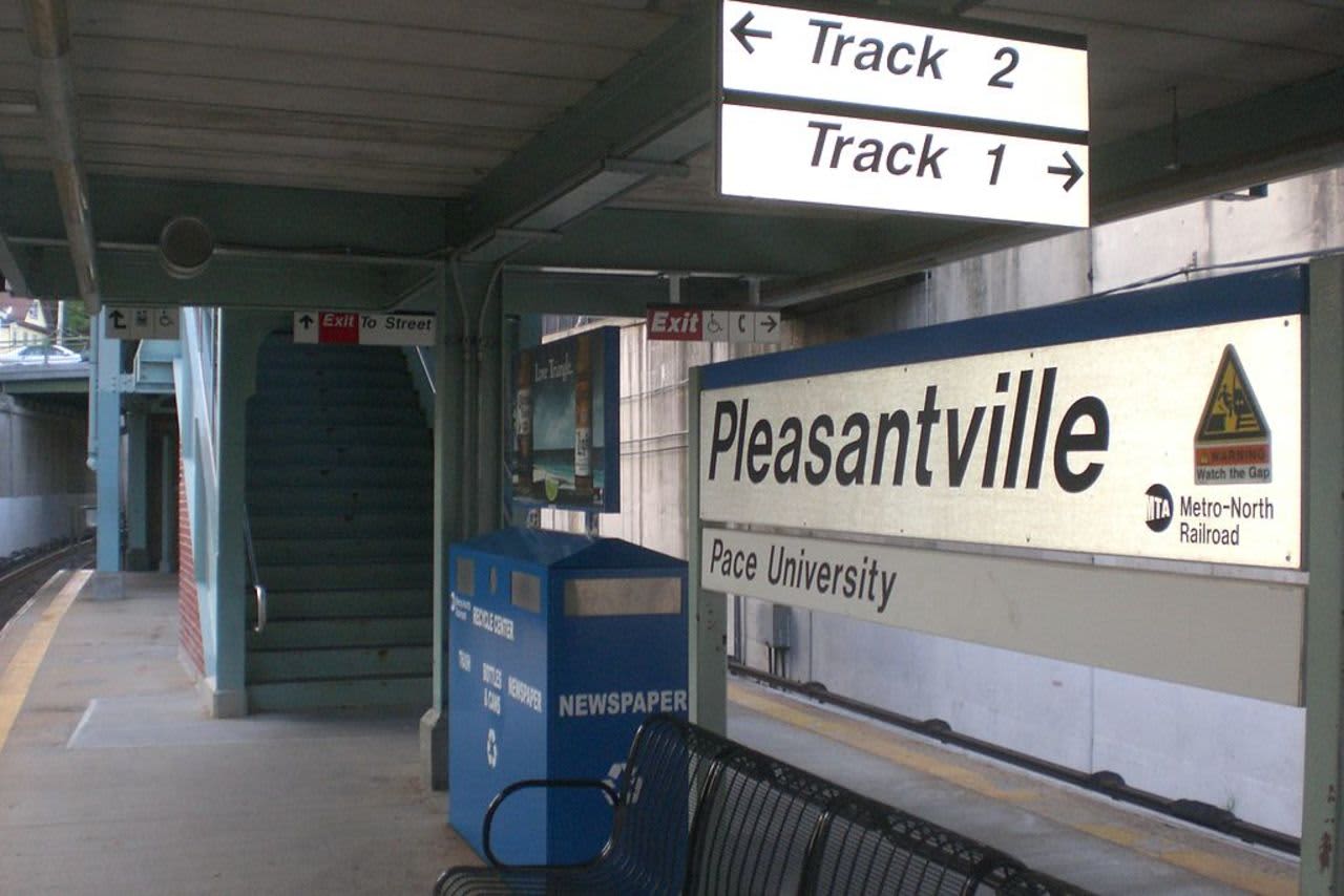 A brush fire occurred at the Pleasantville train station.