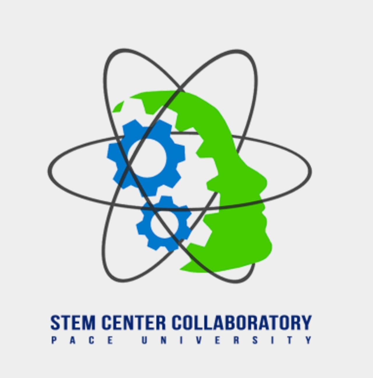 Pace University is seeking 'High School Students in Residence' as part of the annual STEM Summer Institute