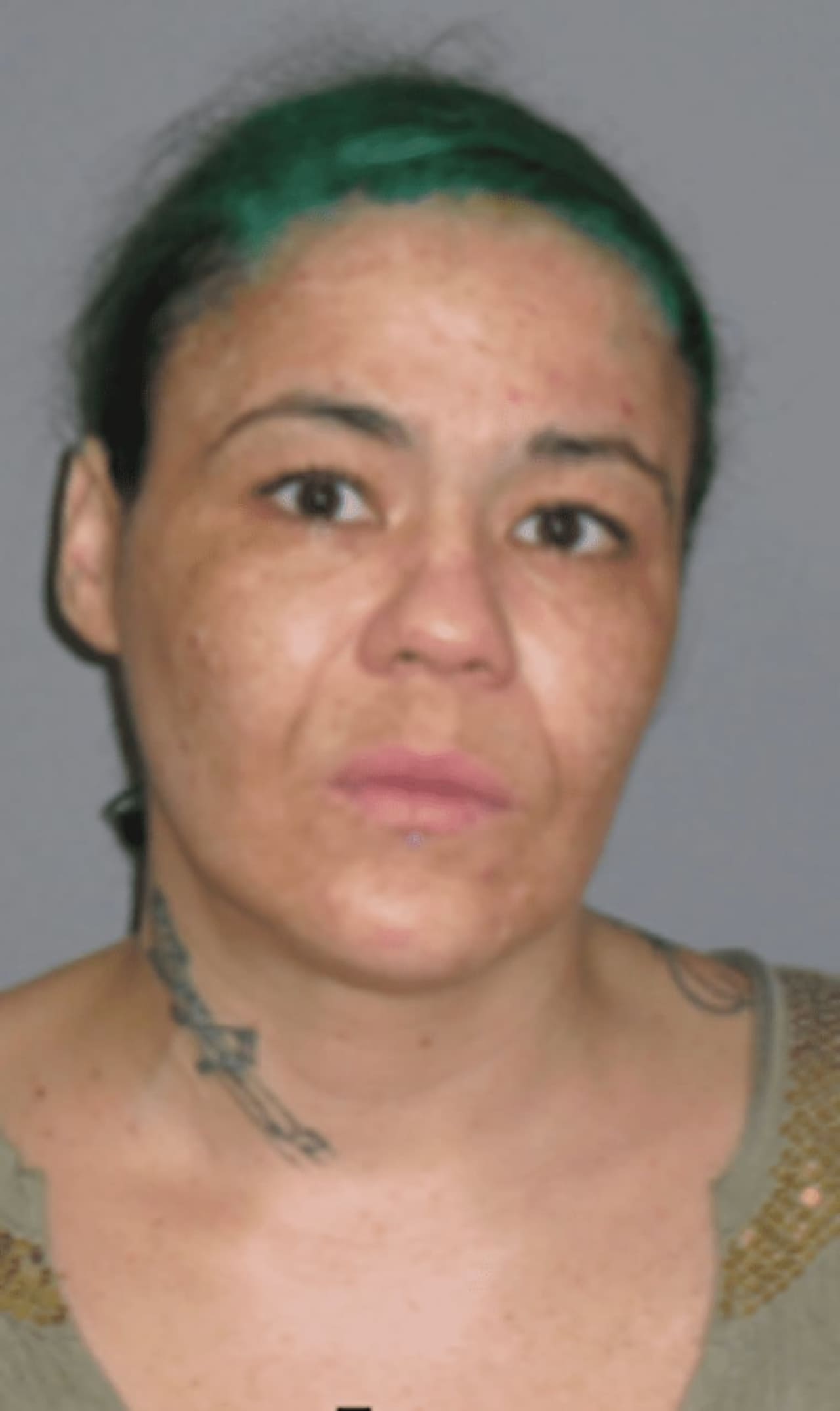 Nicole Doble, 37, of Rhinebeck was charged with first-degree robbery early Monday in Hyde Park in connection with Sunday night's holdup of a Citgo gas station on Mill Street.