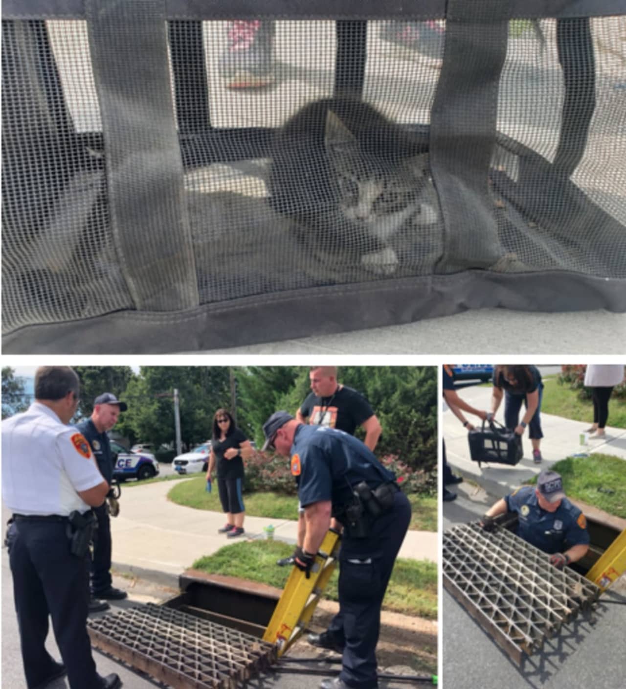 Officers with the Suffolk County Police Department rescued a kitten from a storm drain in Lindenhurst on Sunday, Sept. 8.