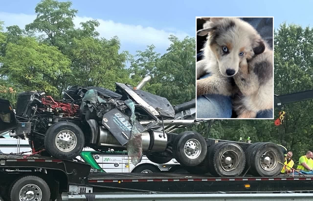 A dump truck driver from Bergen County who miraculously survived a horrific crash on Route 287 spent some of his time recuperating in a hospital bed thinking he'd lost his beloved dog.