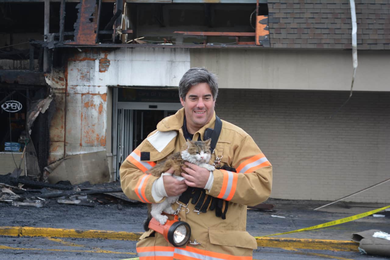 Former Mahopac Volunteer Fire Department Treasurer Michael Klein, pictured in 2014 while retrieving a cat named Daisy from a store fire. Klein is accused of embezzling $5.7 million in fire department funds over a period of more than a decade.