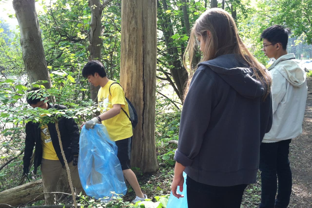 Students from Stamford's Newfield Elementary School and Hart Magnet Elementary School partner with UConn Stamford to clean up Cedar Street Park.