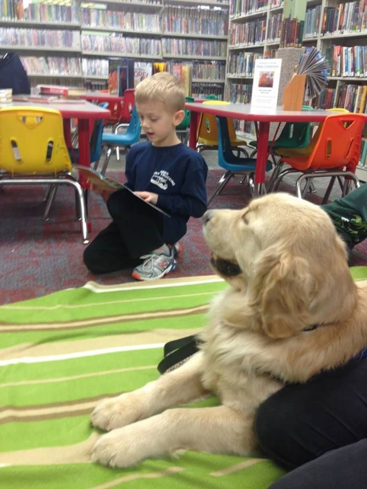 The Bloomingdale library has encouraged reading for 90 years now -- and the efforts now include the "Paws to Read" program, featuring Thatcher. Come celebrate in May, with two events.