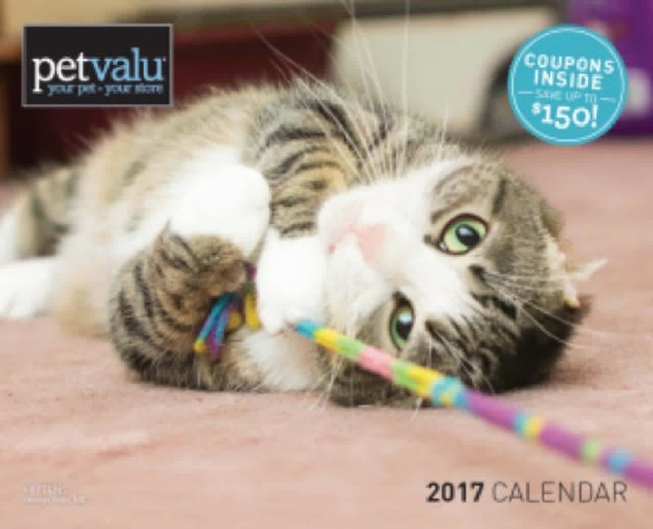 Pet Valu is holding an open casting call for pets for its annual calendar.