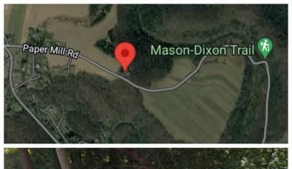 Woman Ejected During Crash Into Tree, Down Embankment Near Mason-Dixon Trail: Coroner