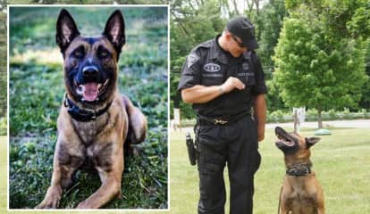 PETA Honors Massachusetts State Police K9 Killed In Fitchburg Standoff