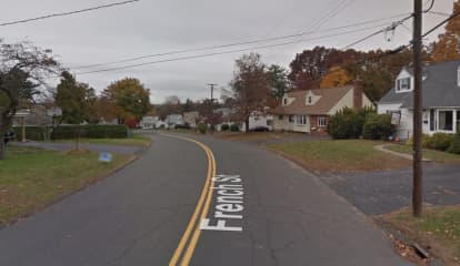 Dog Shot, At Large After 'Vicious' Attack In CT, Police Say