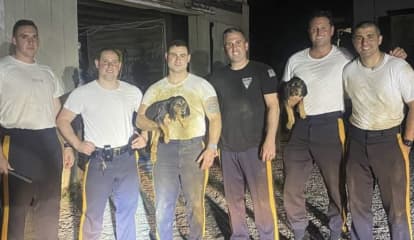 NJ Troopers Rescue Puppies From Irrigation Trench