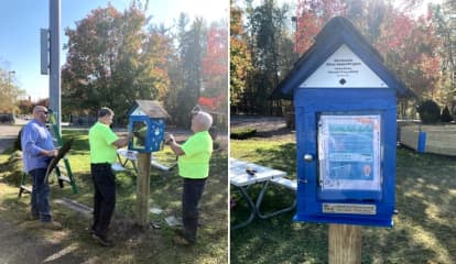 Vandals Damage Mahwah Girl Scout's Little Free Library, DPW Comes To Rescue