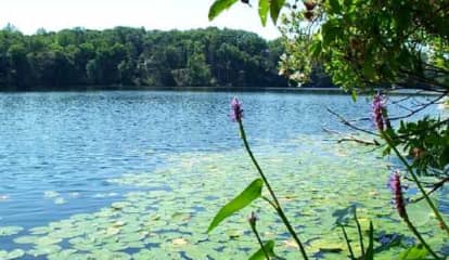 Teen Dies While Swimming At CT Pond