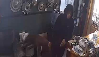 Video: Man Swipes Cash From Hudson Valley Auto Repair Shop