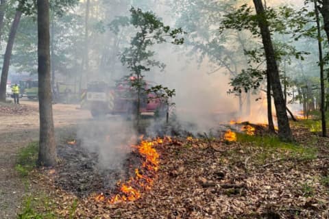 Wildfire Burns 2,100 Acres Of Wharton State Forest