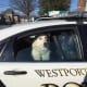A lost dog was found in Westport.
