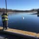 A swan trapped in the ice was saved by Danbury firefighters.