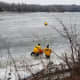 Members of the Stevenson Volunteer Fire Department work to save a deer trapped on ice.