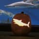 Carved pumpkins will help to transform The Maritime Aquarium at Norwalk into the AquaScarium Oct. 21-22 & 28-29.