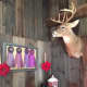 Ribbons won by Guy and Neysa Cockburn's fabulous firs are framed next to a stuffed deer's head in a cozy room with a fireplace.