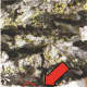 The emerald ash borer leaves D-shaped holes n the bark of the tree, magnified in size in this image. 