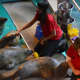 Aquarist Azzara Oston feeds the seal during the "Noon Year' celebration at the Maritime Aquarium in Norwalk on Thursday.