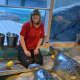 A trainer puts the harbor seals through their paces at the Maritime Aquarium.
