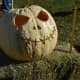 A pumpkin that's not orange at  the Great Pumpkin Festival at Boothe Memorial Park.