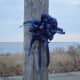 Large navy blue bows were tied to a utility pole and a closed gate near where police found Thomas J. Lattanzio at Seaside Park.