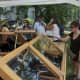 Norwalk holds its fourth annual Art Festival over the weekend at Mathews Park, with nice crowds strolling the grounds to view art in a series of tents surrounding the Lockwood-Mathews Mansion.