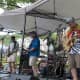 Area Dead-Heads were in their glory Saturday, as large crowds flocked to the Torne Valley Vineyard's We Can Share The Wine Music Festival in Hillburn.