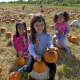 Kids enjoy the pumpkin patch at Outhouse Orchards in North Salem.