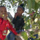 Two kids sample the apples in the trees at Outhouse Orchards in Croton Falls.