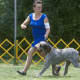 Putnam Kennel Club staged two all-breed AKC shows, running Friday and Saturday at Putnam Veterans Memorial Park.