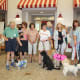 Fifteen dogs, of all sizes and breeds, paraded down “Main Street” at The Village with their owners.