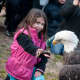 Children will have the chance to get up close and personal with bald eagles, once an endangered specials, at this year's EagleFest.