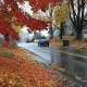 The rain may spell the end of the fall color across Fairfield County as the roads fill with wet, slippery leaves.