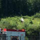 Fire and police are on the scene of plane crash on a hill above the dog park near the Danbury Airport on Sunday morning.