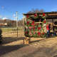 TJK Landscaping is holding its annual Christmas tree sale at New Bridge Landing.
