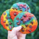 Rainbow chocolate chip cookies from Baked in Color