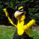 The River Dell Hawk will also be on hand, on tee-ball's opening day.